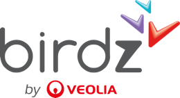 Logo Birdz